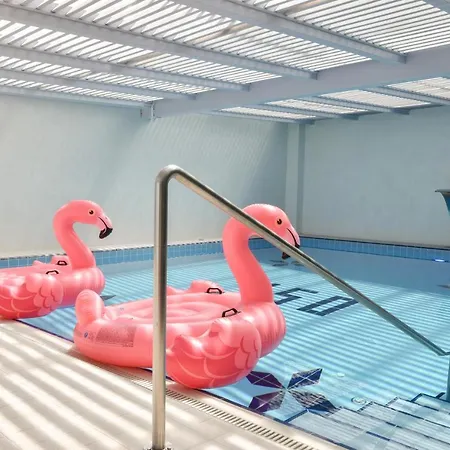 Flamingo & Vlore
